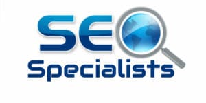 Read more about the article Why Businesses Needs an SEO Specialist? SEO Strategies For Success